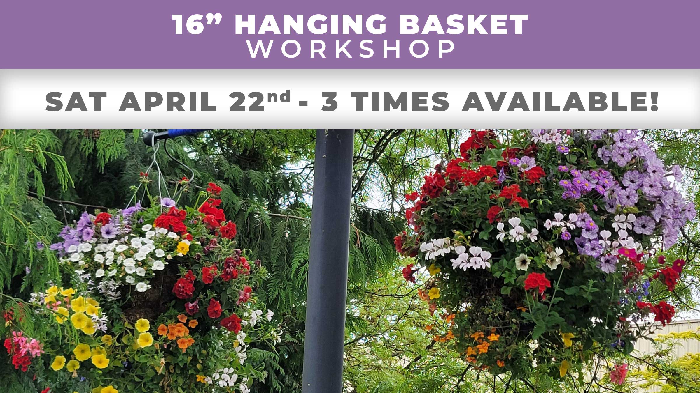 hanging basket workshop April 22