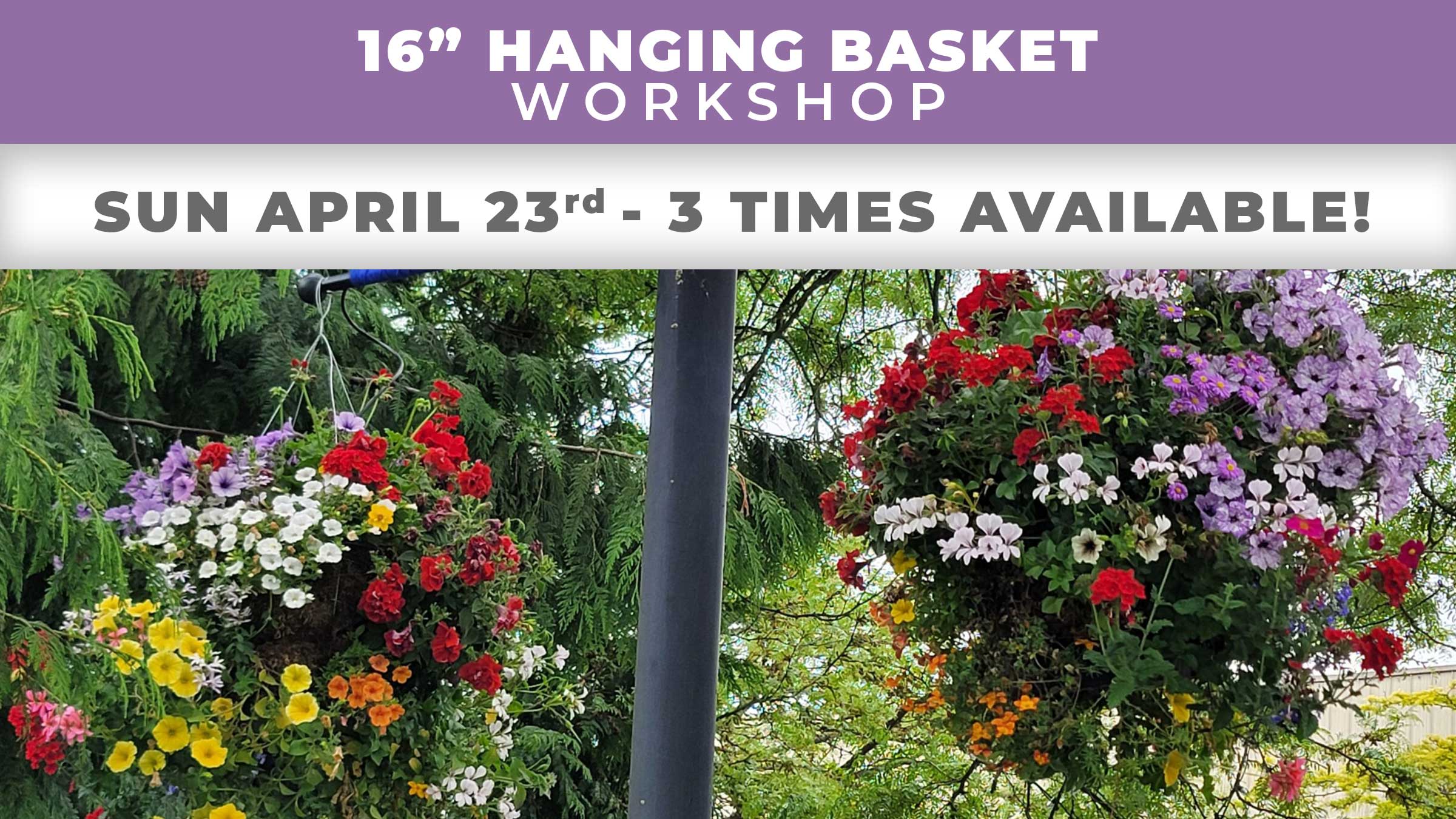 hanging basket workshop April 23