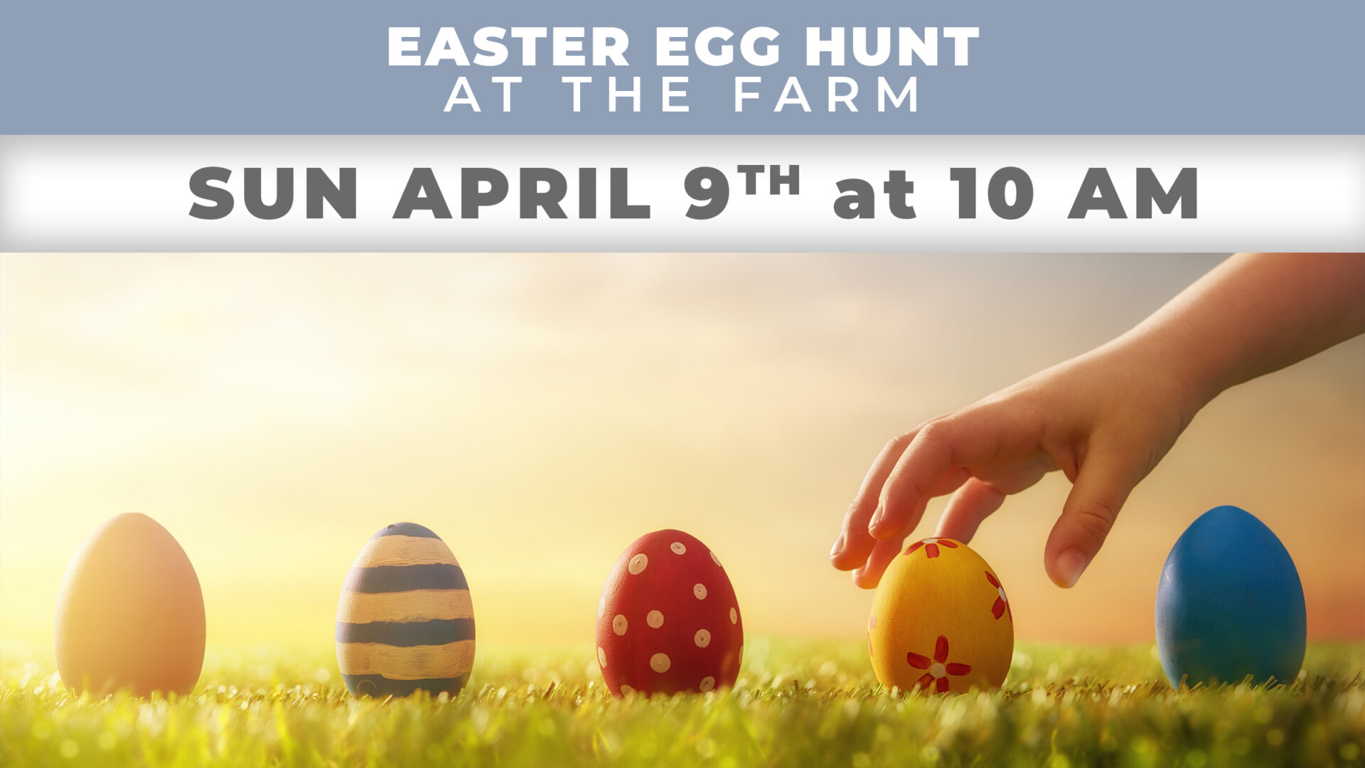Easter Egg Hunt 2023 ⋆ Superior Farms
